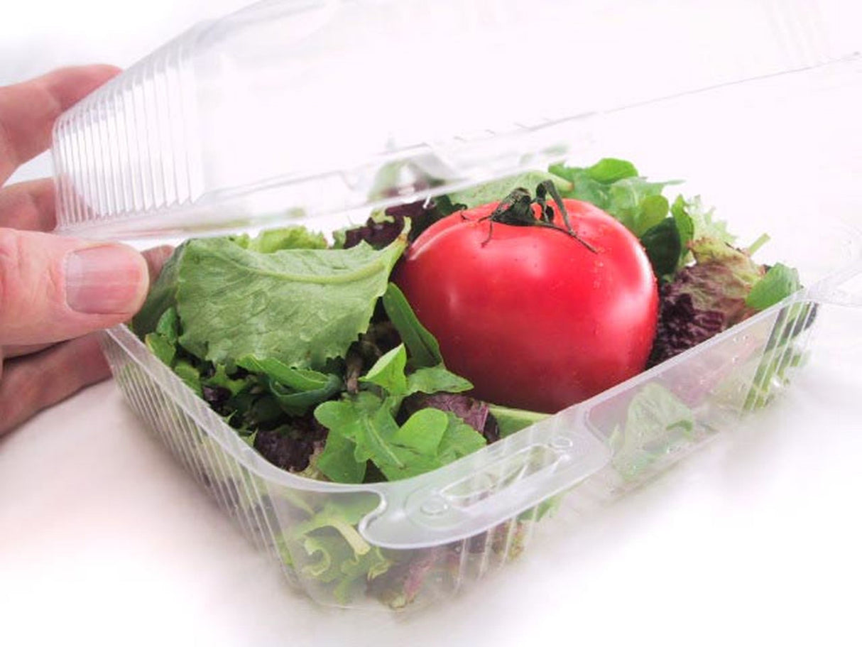 8" Square Plastic Hinged Deli Container - Case of 250  #CPC895